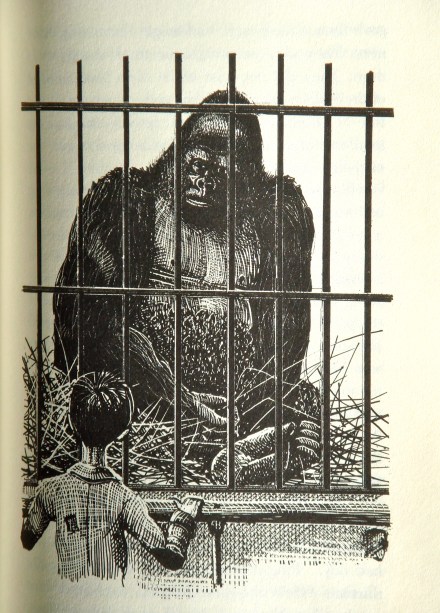 stranger at green knowe